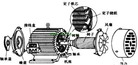 電動機(jī)原理與結(jié)構(gòu)圖,三相異步電動機(jī)